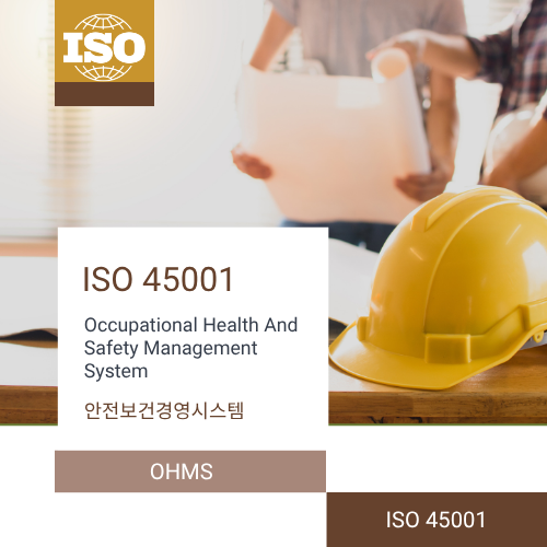 ISO 45001 + ISO 19011